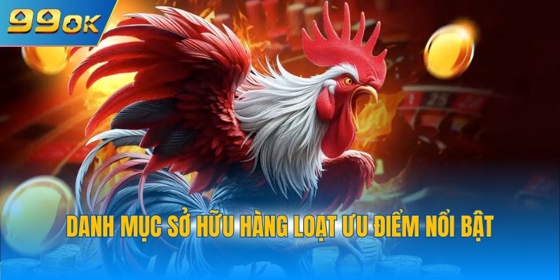 Đá Gà 99OK 2 Danh mục sở hữu hàng loạt ưu điểm nổi bật